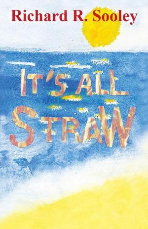 Cover of the book It’S All Straw by Stone Spicer