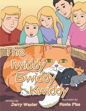 Cover of the book The Iwiddy Bwiddy Kwiddy by Christopher John Walker