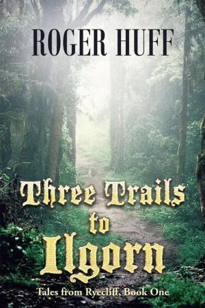 Cover of the book Three Trails to Ilgorn by Bernice R. Russell Ed.D.