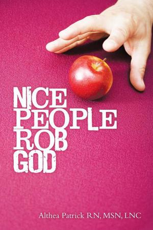 Cover of the book Nice People Rob God by Lisa Lynn
