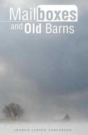 Cover of the book Mailboxes and Old Barns by Jeff Abrams