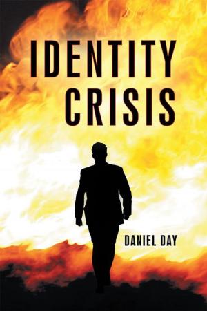 Cover of the book Identity Crisis by Ted Rouse