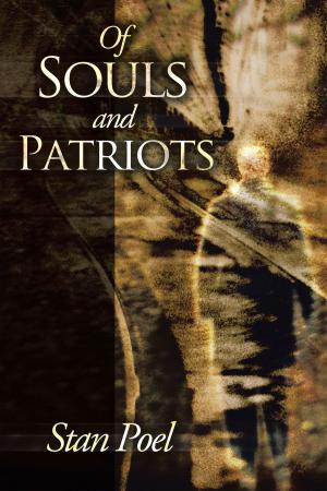 Cover of the book Of Souls and Patriots by Bill Winscott