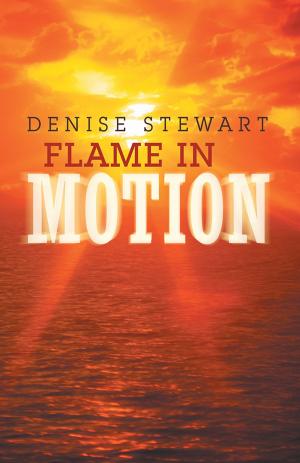Cover of the book Flame in Motion by Jerry Vornholt