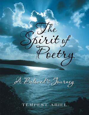 Cover of the book The Spirit of Poetry by Malik İlyas Tanrıbağı