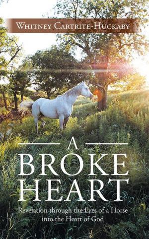 Cover of the book A Broke Heart by Mary Elizabeth Robinson