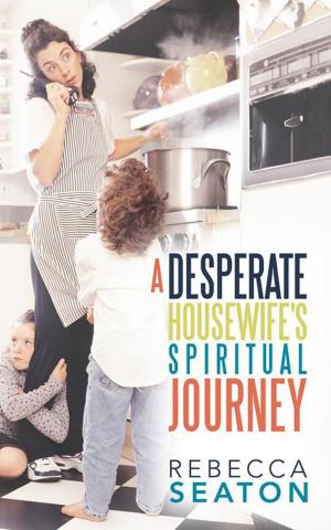 Cover of the book "A Desperate Housewife's Spiritual Journey" by Paulette Riddlesprigger