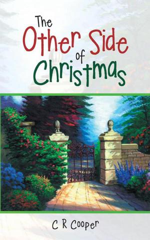 Cover of the book The Other Side of Christmas by Lynne Farrell
