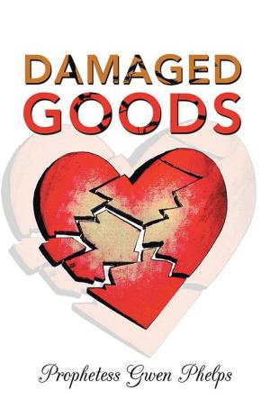 Cover of the book Damaged Goods by Leah Young