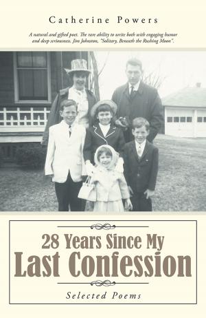 Cover of the book 28 Years Since My Last Confession by Anthony L. Williams