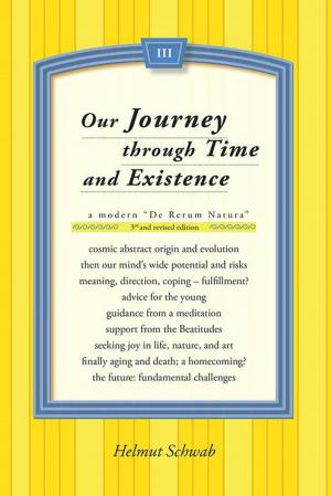 Cover of the book Our Journey Through Time and Existence by Robert Yang