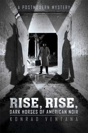 Cover of the book Rise, Rise, Dark Horses of American Noir by Richard J. Ferrara Sr. MD