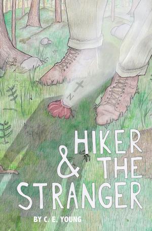 Cover of the book Hiker and the Stranger by David Micheal Smith