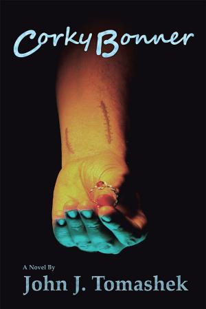 Cover of the book Corky Bonner by Daniel Shaviro