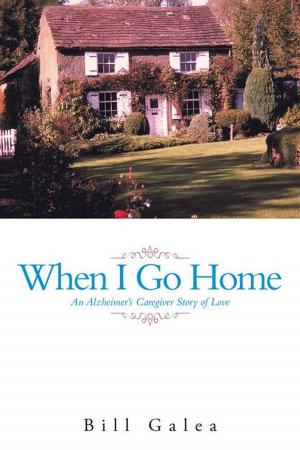 Cover of the book When I Go Home by Julie Wise