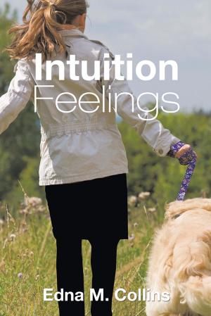 Cover of the book Intuition Feelings by Donny Petersen
