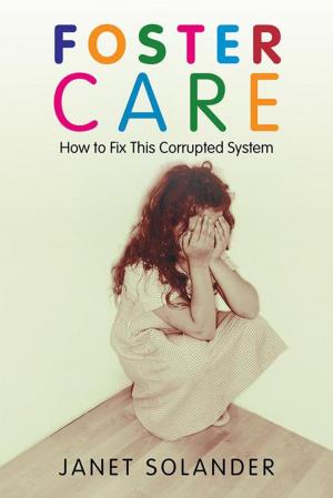 Cover of the book Foster Care by Jeffrey Stettler