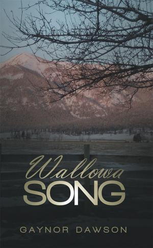 Cover of the book Wallowa Song by Barrie C. Bartulski