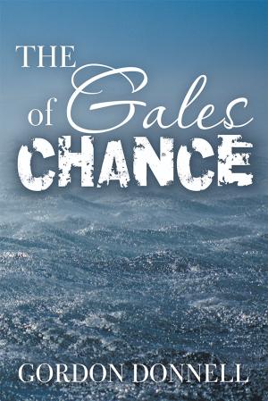 Cover of the book The Gales of Chance by Paul Salsini