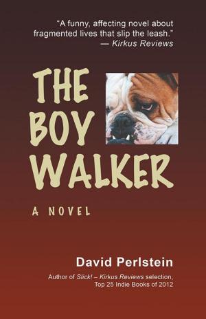 Cover of the book The Boy Walker by Lane B. Scheiber II, Lane B. Scheiber