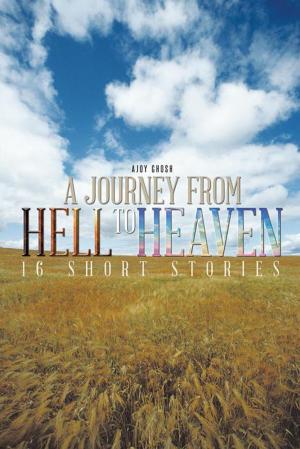 Cover of the book A Journey from Hell to Heaven by Jeri Johnson