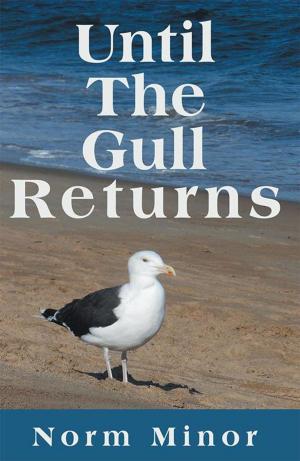 Cover of the book Until the Gull Returns by Sidonie Spice