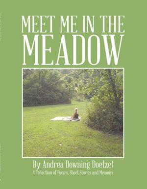 Book cover of Meet Me in the Meadow