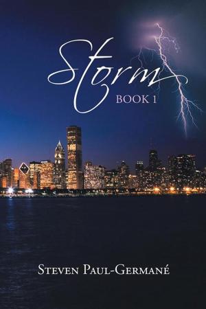 Cover of the book Storm by RICHARD DROPPO