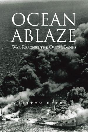 Cover of the book Ocean Ablaze by Gerald Marier