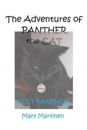Cover of the book The Adventures of Panther the Cat by Paul R. Becker