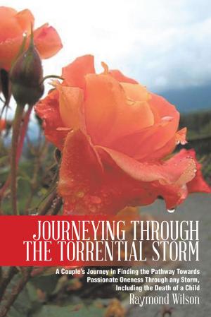 Cover of the book Journeying Through the Torrential Storm by William Post
