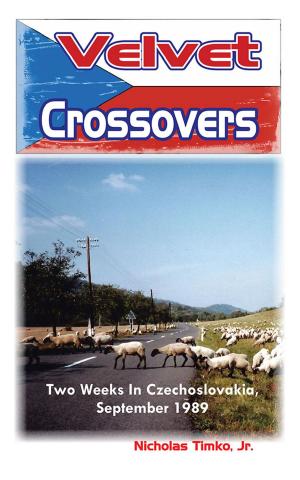 Cover of the book Velvet Crossovers by Rumjhum Sarkar
