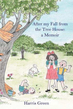 Cover of the book After My Fall from the Tree House: by Hank Manley