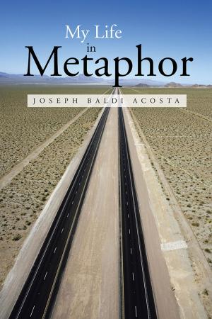 Cover of the book My Life in Metaphor by RaeDeen Heupel