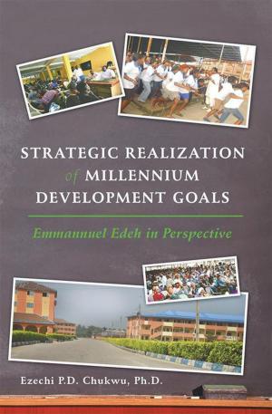 Cover of the book Strategic Realization of Millennium Development Goals by Okoli I. Victor
