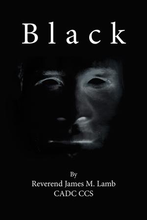 Cover of the book Black by Shaun Mehta