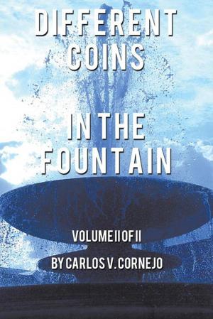 Cover of the book Different Coins in the Fountain by Kristi Farley