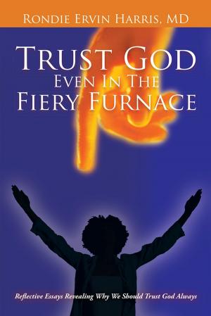 Cover of the book Trust God Even in the Fiery Furnace by Melanie Carolin Sacher