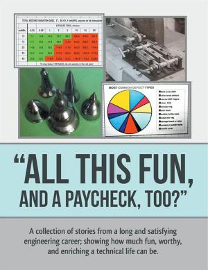 Cover of the book “All This Fun, and a Paycheck, Too?” by D. L. Anderson