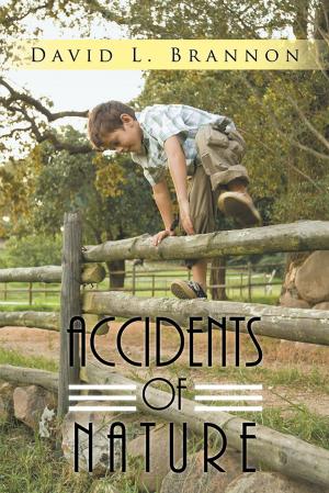 Cover of the book Accidents of Nature by lost lodge press