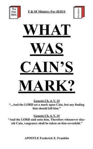 Cover of the book What Was Cain's Mark? by Diana Reed