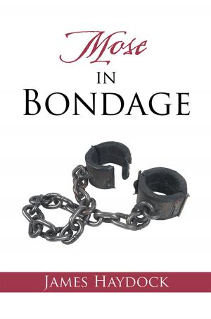 Book cover of Mose in Bondage