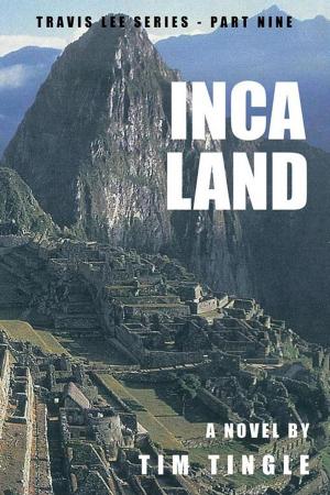 Book cover of Inca Land