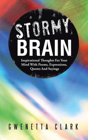 Cover of the book Stormy Brain by Tracy Dirst