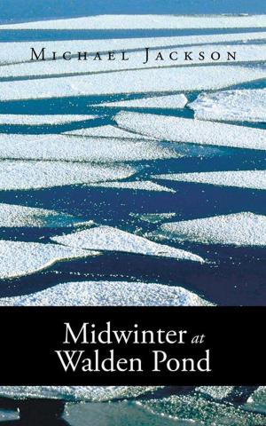 Cover of the book Midwinter at Walden Pond by Michael French