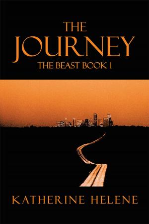 Cover of the book The Journey by David Robert Hinshaw