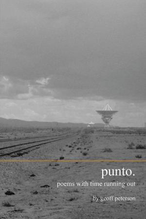Cover of the book Punto. by Rita Humbert, Mick Humbert