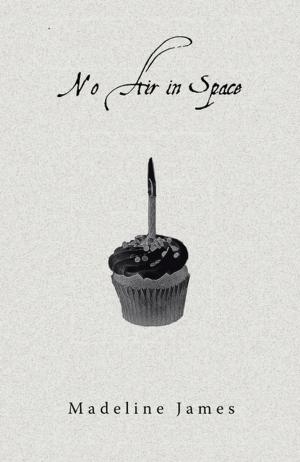 Cover of the book No Air in Space by Celestine E. Ebegbulem
