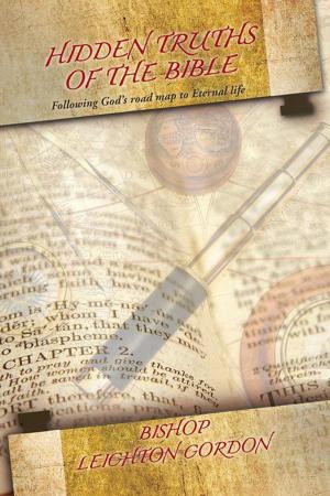 Cover of the book Hidden Truths of the Bible by Craig Draheim