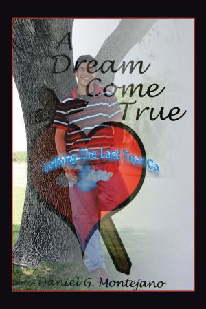 Cover of the book A Dream Come True by José Óscar López